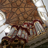 [1738 Müller/St. Bavo Church, Haarlem, The Netherlands]