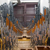 [Organ interior]